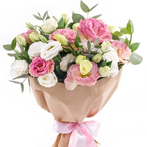 Элизиум от 4 750 руб.